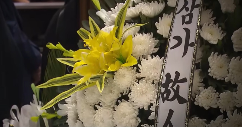 유튜브 'SBS 뉴스'