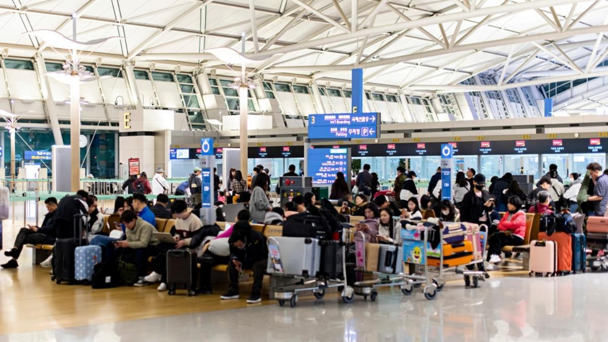 벚꽃 대신 '이것'… 2026년 봄, 한국인들이 여행지를 고르는 의외의 기준