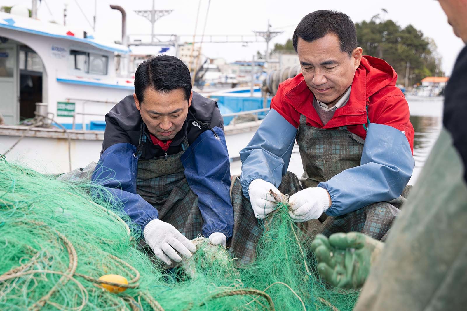 장동혁 국민의힘 대표와 김진태 강원특별자치도지사가 22일 강원 양양군 남애항에서 그물 정리 작업을 하고 있다. / 뉴스1