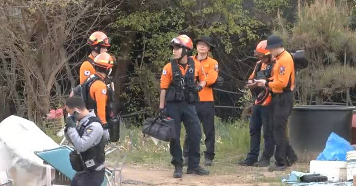 광명 농장서 사슴 5마리 탈출…소방 당국, 농장주 요청에 '수색 중단'