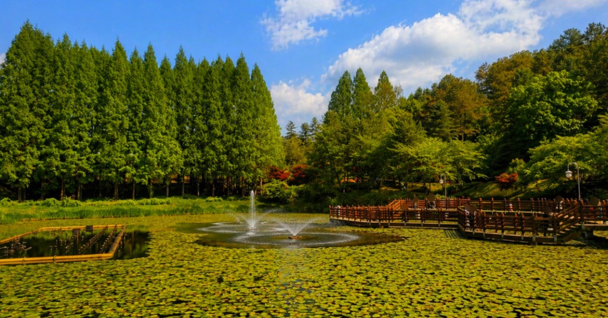 이번 주말 여행지는 여기다... 내일(24일)부터 꽃잔치 열린다는 '이곳'