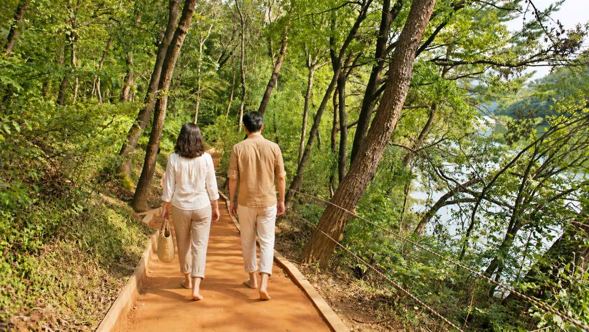 맨발로 걷는 1.7km '황토숲길'…편백 터널과 호수의 만남, '무료' 힐링 코스