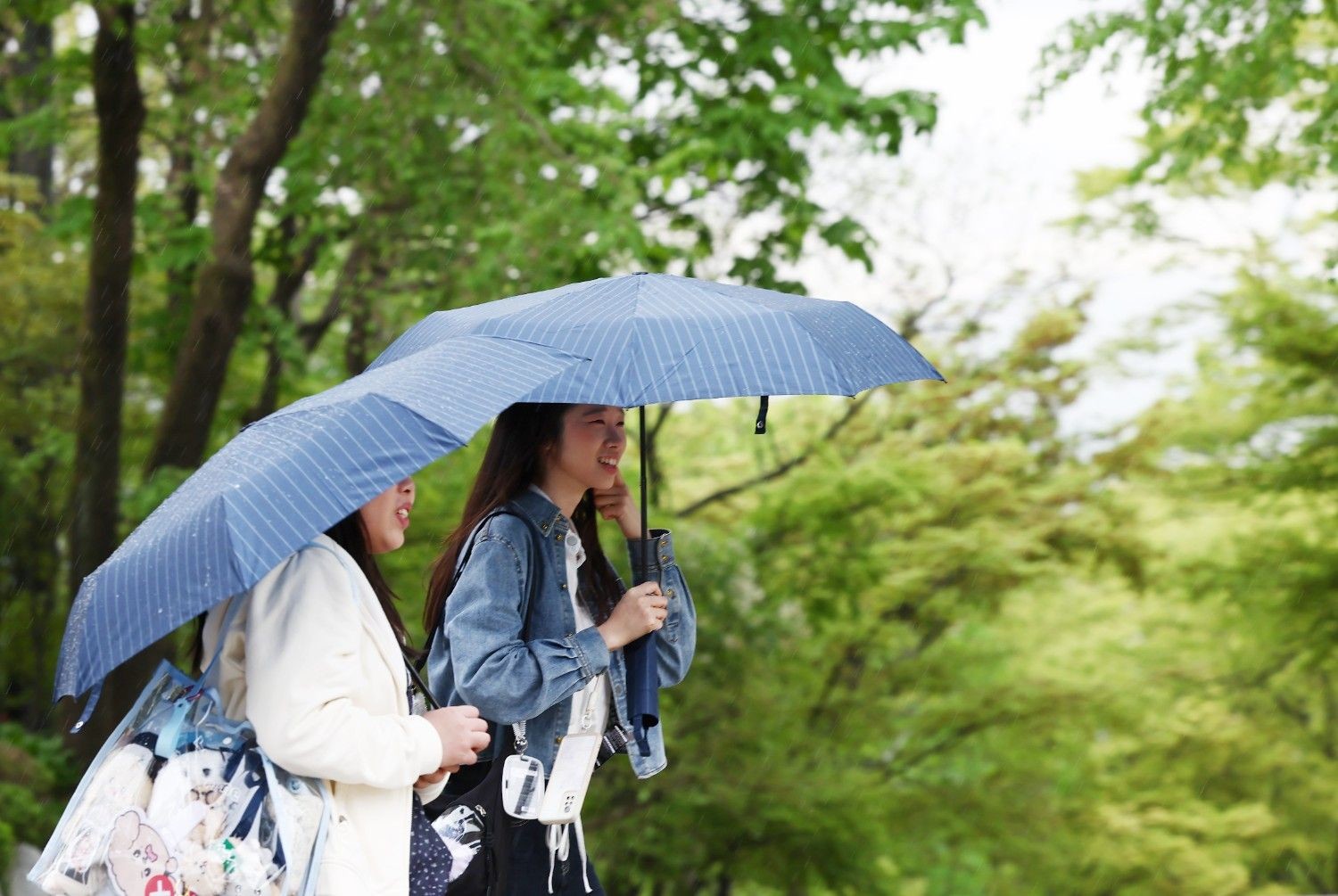 비가 내리는 초여름 날씨 속에서 우산을 쓰고 이동하는 사람들의 모습으로, 한국 특유의 장마철 분위기와 높은 습도를 잘 드러낸 장면이다. / 뉴스1