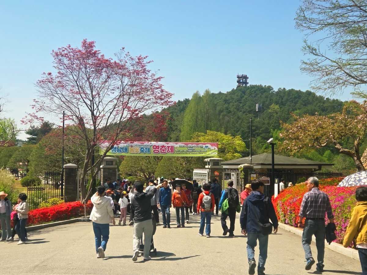 모노레일 타고 보는 ‘꽃대궐’… 청남대 영춘제 24일 개막