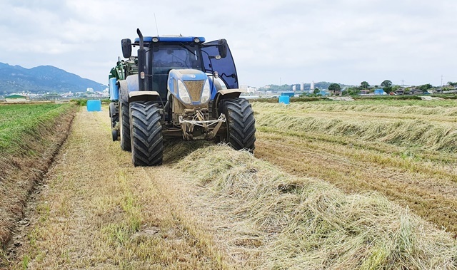 “중동발 사료 대란 막는다”… 전남도, 축산농가 조사료 수급 안정에 1029억 ‘통 큰 투입’