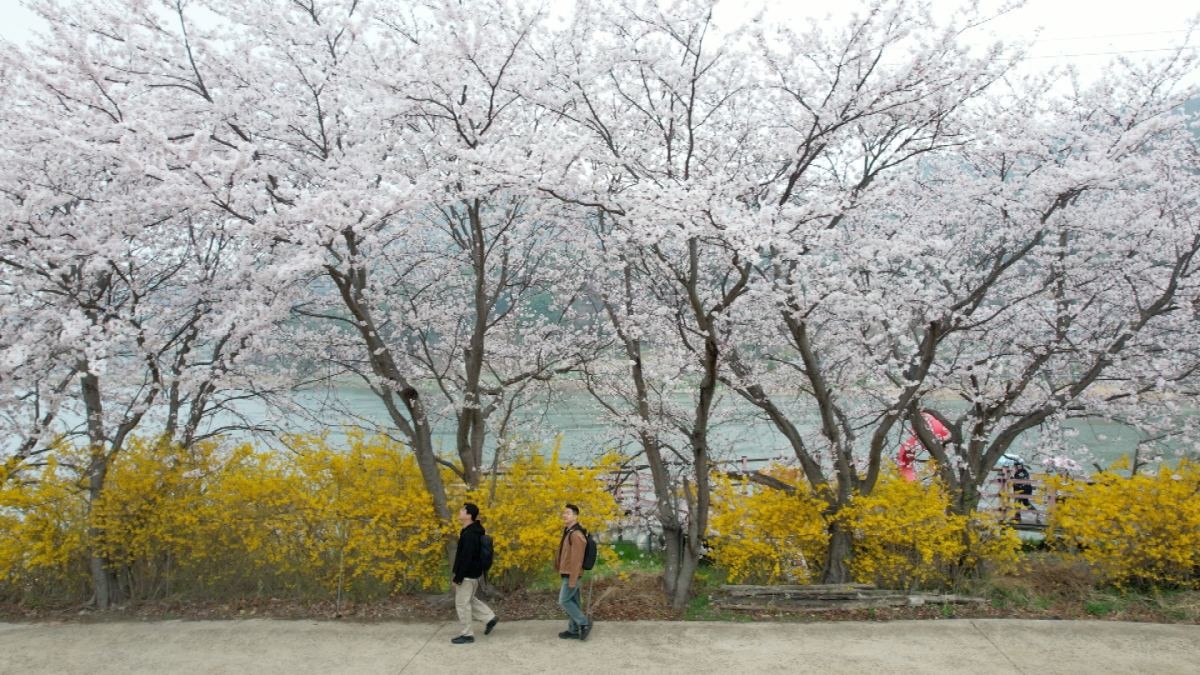 EBS1 '한국기행' 미리보기 페이지에서 제공하는 '8만 원 여수 1박 2일' 편 자료 사진. / EBS1 제공