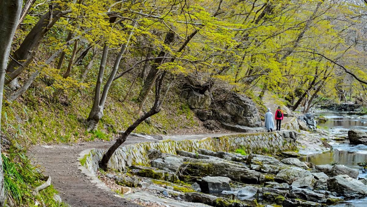 선운사. / 연합뉴스
