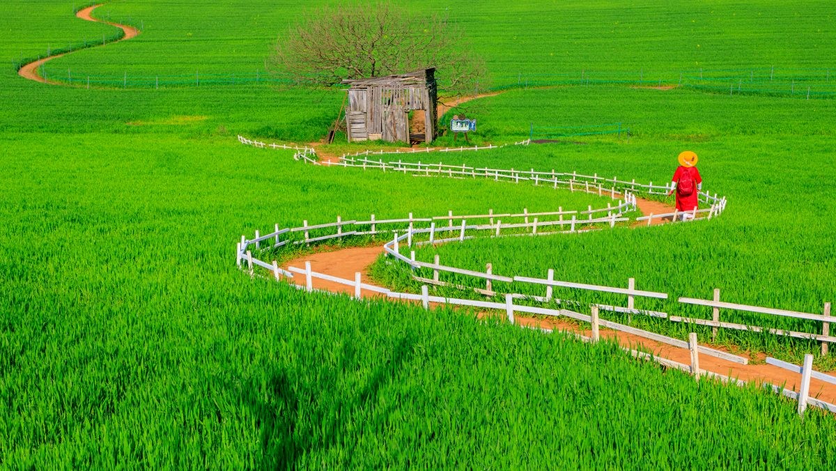 학원농장. / jongeek Park-shutterstock.com