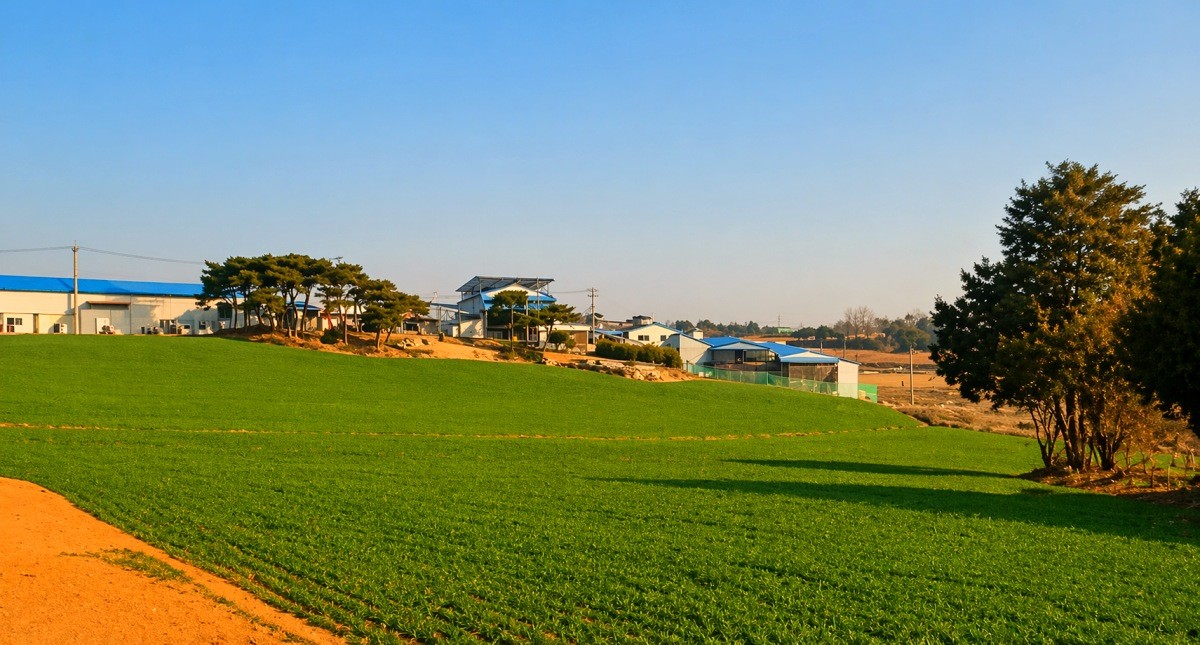 고창서점마을.  / 고창군 공식 블로그, AI