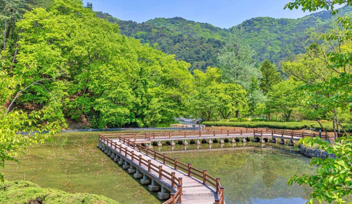 수타사 주변 산책로 / 한국관광공사(촬영 : 황성훈)