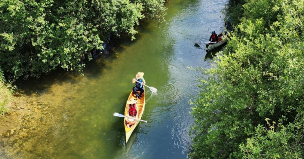 장자늪 카누 체험 / 충주시
