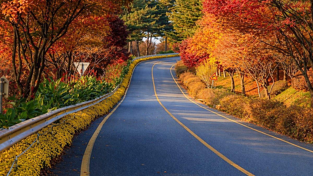 청남대 가는 길. 기사 내용 토대로 AI툴 활용해 제작한 자료사진.