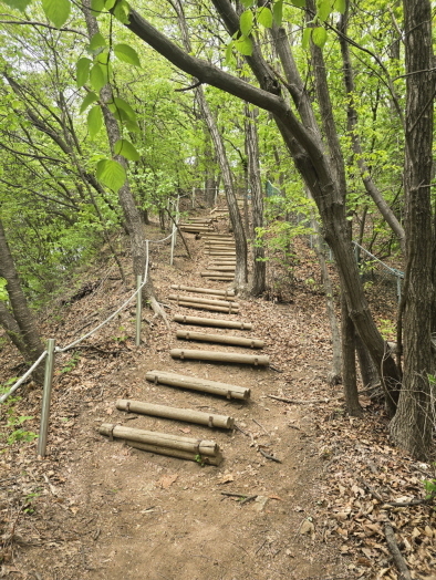 용인 손허산 등산로 정비…“숲길 안전·쾌적성 높인다”