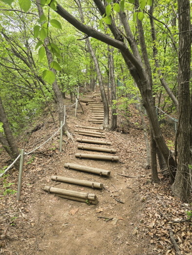 4월부터 정비를 시작하는 손허산 등산로 길. / 용인특례시 수지구