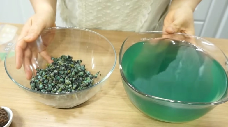 유튜브 '상어이모'