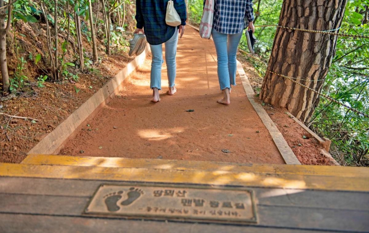 땅뫼산 황토숲길 / 부산관광공사