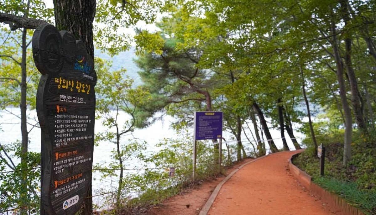 땅뫼산 황토숲길 / ⓒ한국관광콘텐츠랩