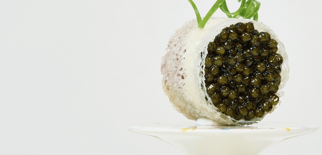 모수 공식 홈페이지