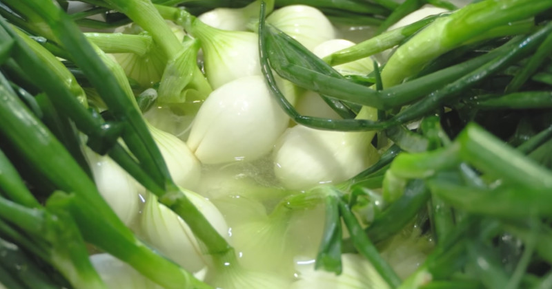 유튜브 '함께해요 맛나요리'