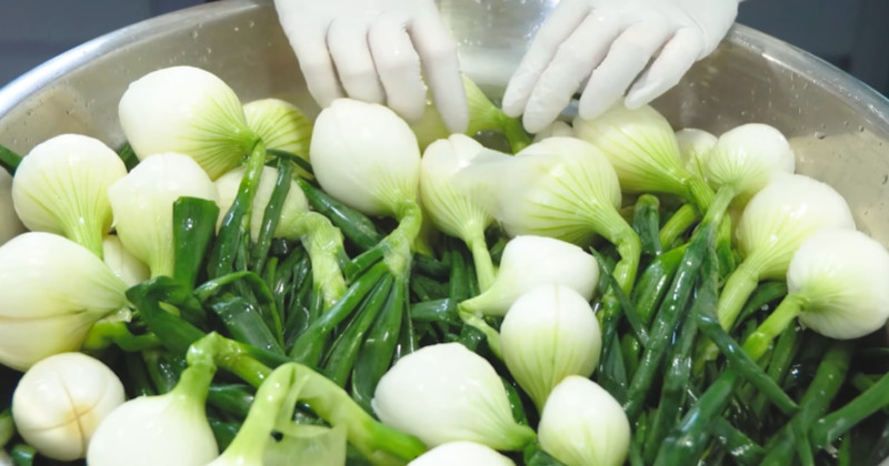 유튜브 '함께해요 맛나요리'