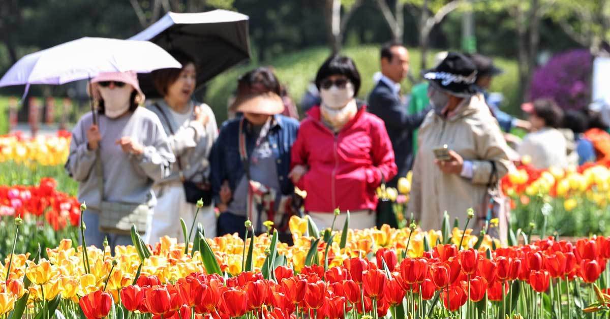 “900만 명 넘게 찾았다”… 봄꽃으로 물든 25만㎡ 수도권 대표 한국 여행지