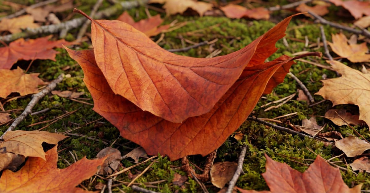 기사 이해를 돕기위한 AI를 활용한 이미지