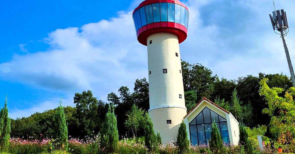 용인 자작나무숲 / 경기관광공사