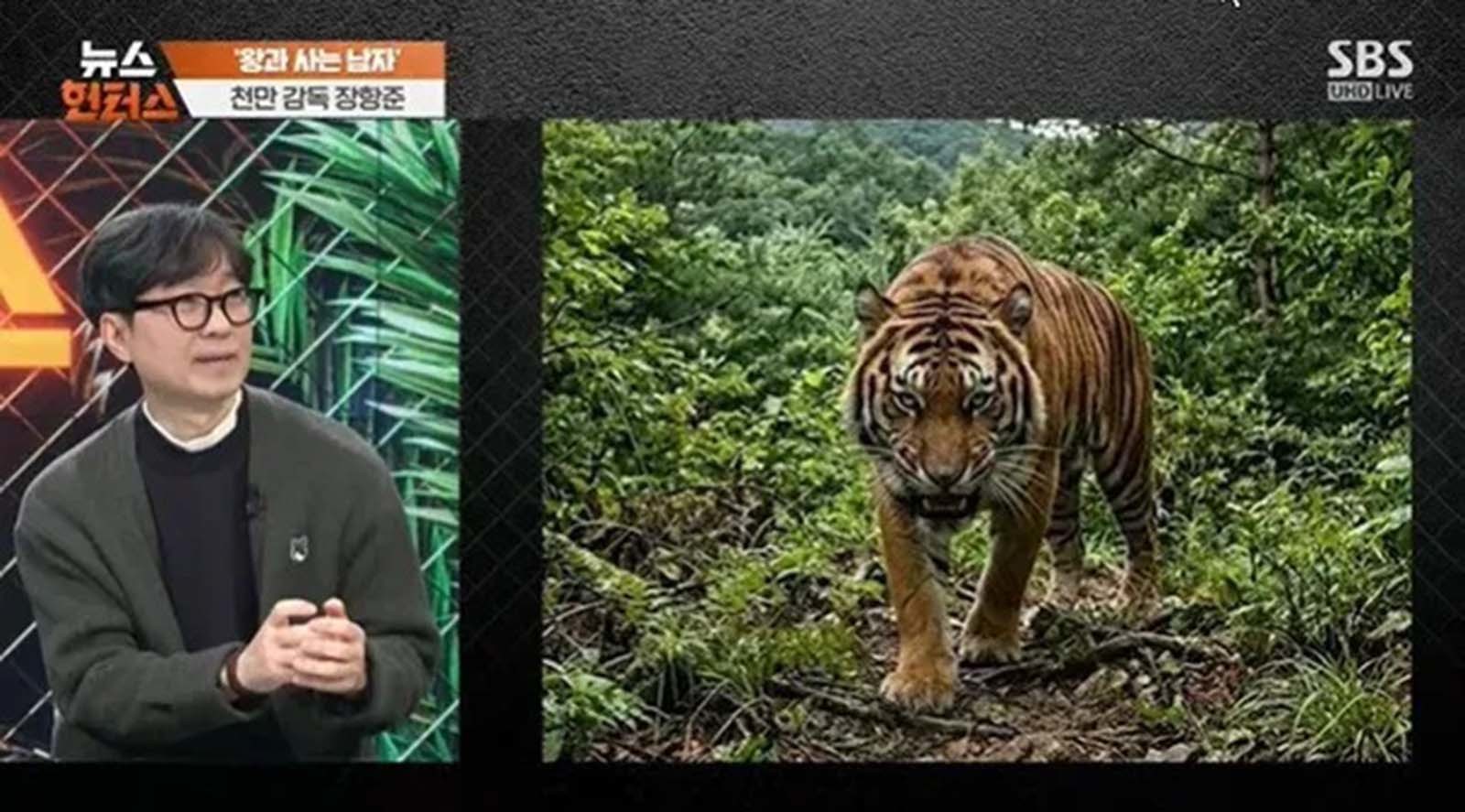 장항준 감독과 문제의 호랑이 등장 장면. / SBS