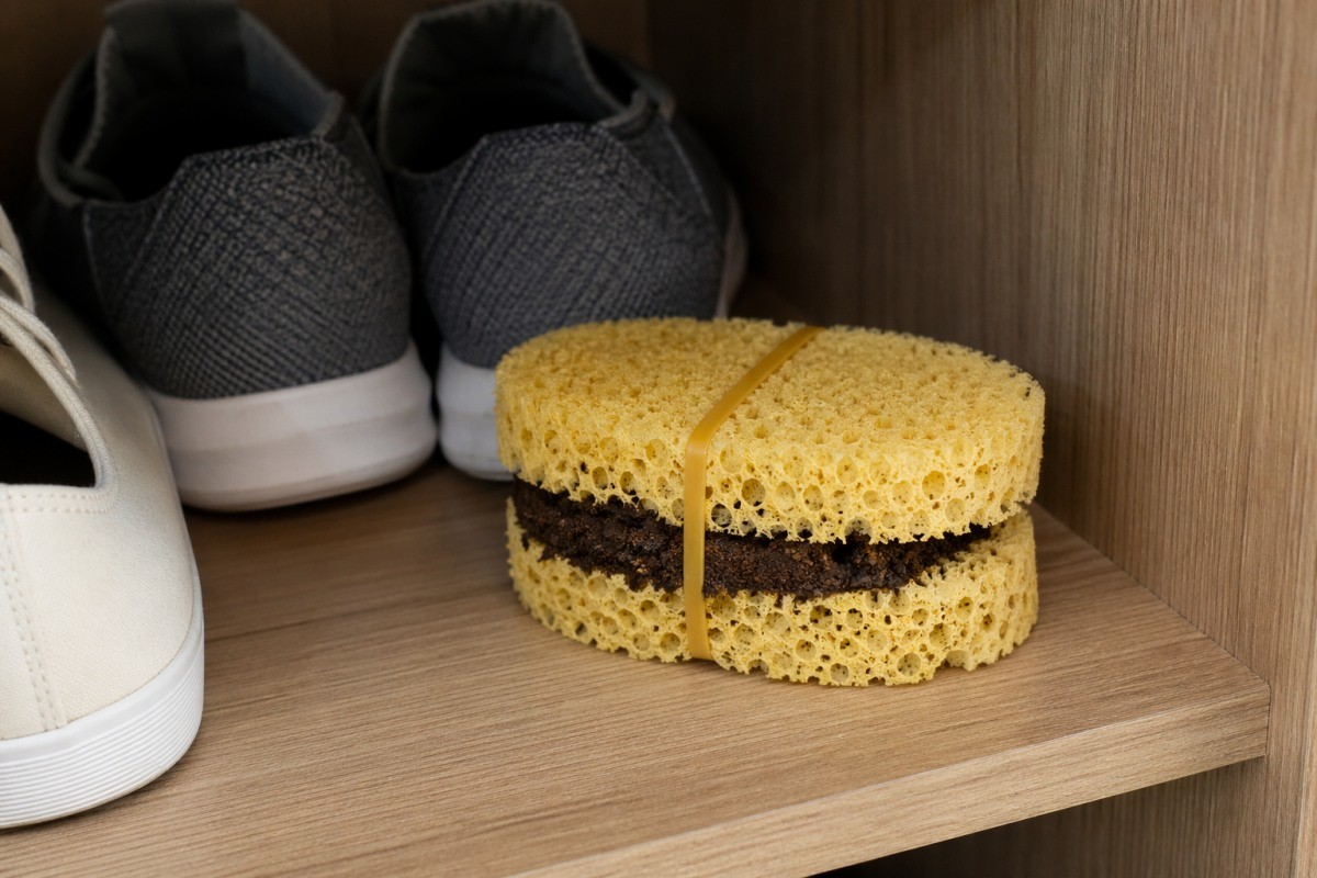 신발장에 수세미를 넣는 모습 / 기사 내용을 바탕으로 제작한 AI 이미지