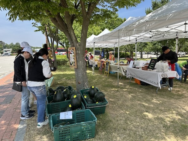 고창군, 운곡람사르습지 ‘오베이골 마을장터’ 오늘(24일) 개장