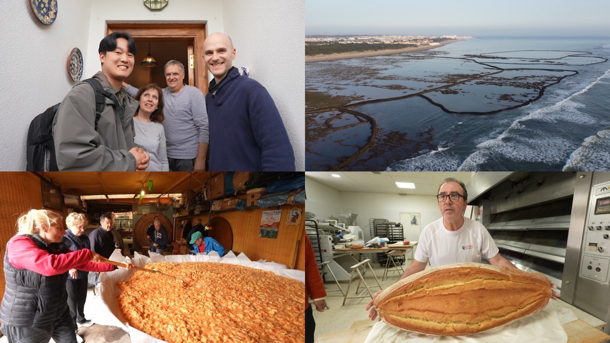 거대한 시간을 한 접시에…‘세계테마기행’ 스페인 식문명 여정 시작
