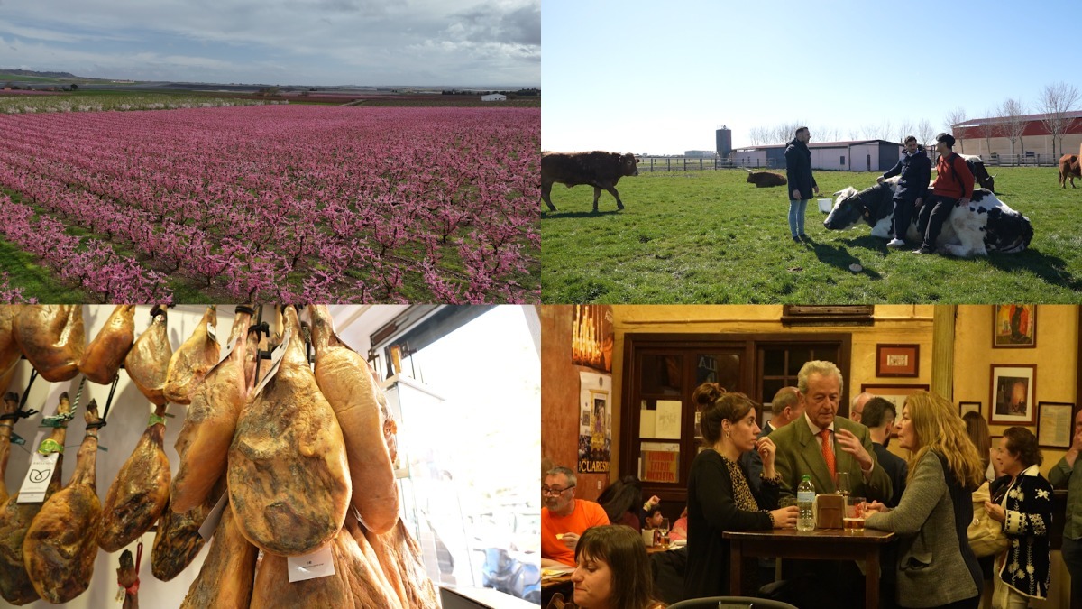 손끝의 차이가 명품을 만든다…‘세계테마기행’ 이베리아 식탁의 비밀