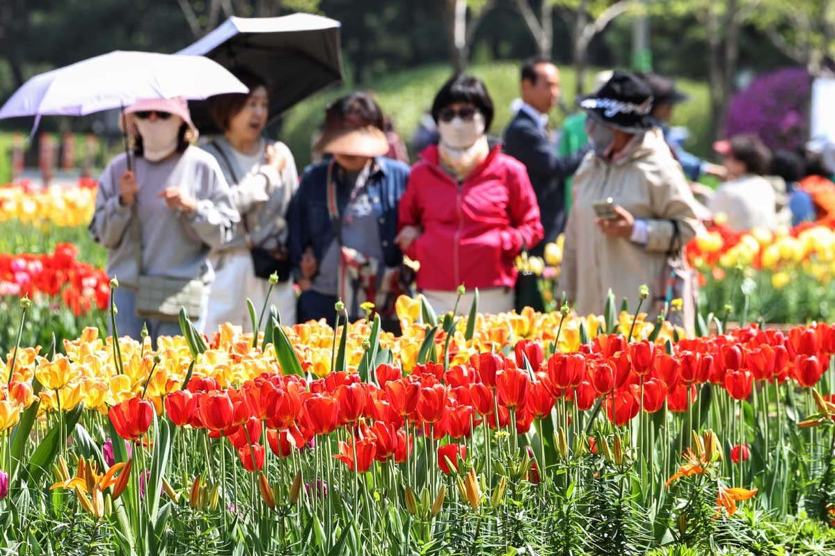 경기 고양시 일산동구 일산호수공원에서 열린 '2025 고양 국제꽃박람회'를 찾은 시민들이 봄나들이를 즐기고 있다. / 뉴스1