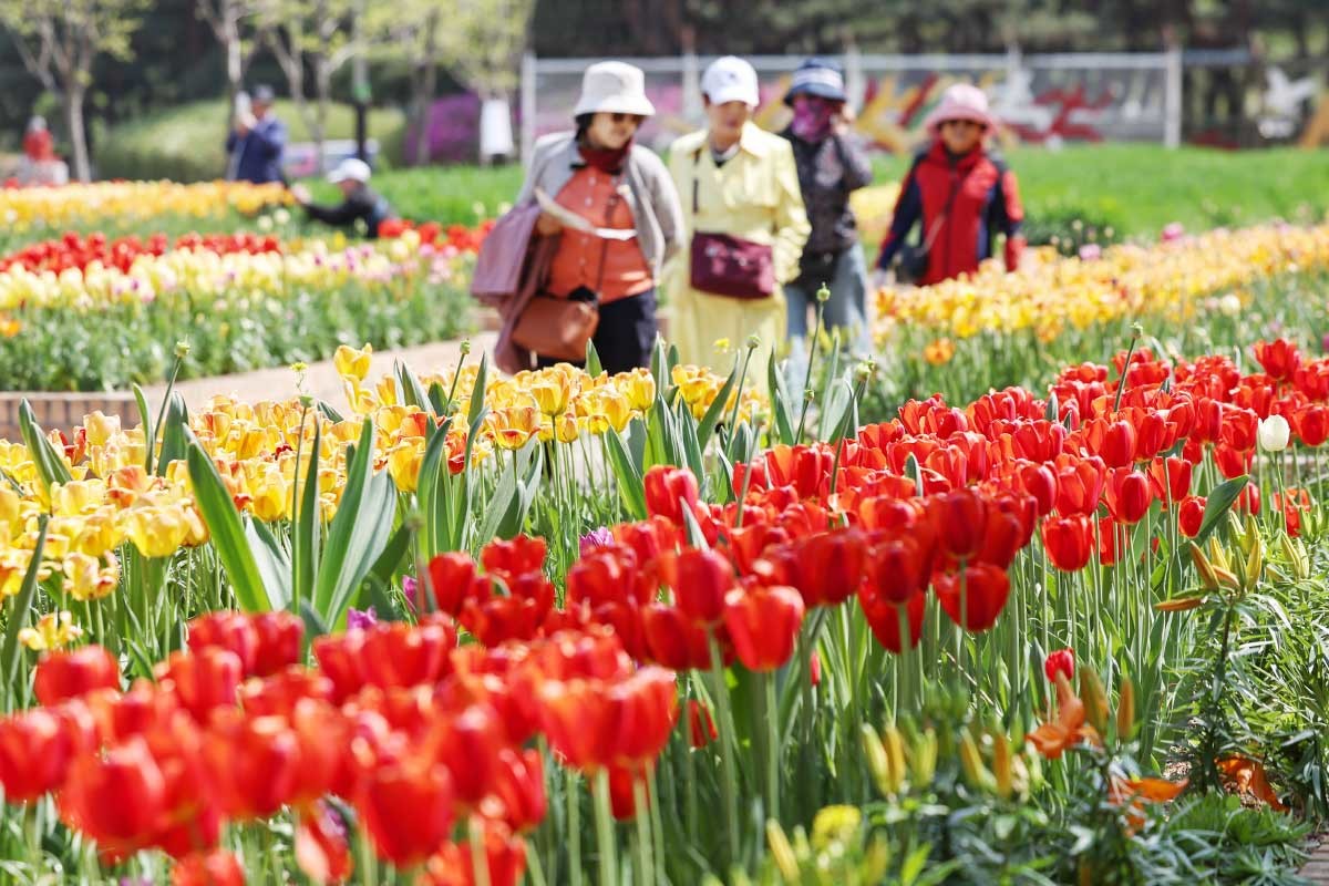 지난해 열린 2025 고양 국제꽃박람회. / 뉴스1