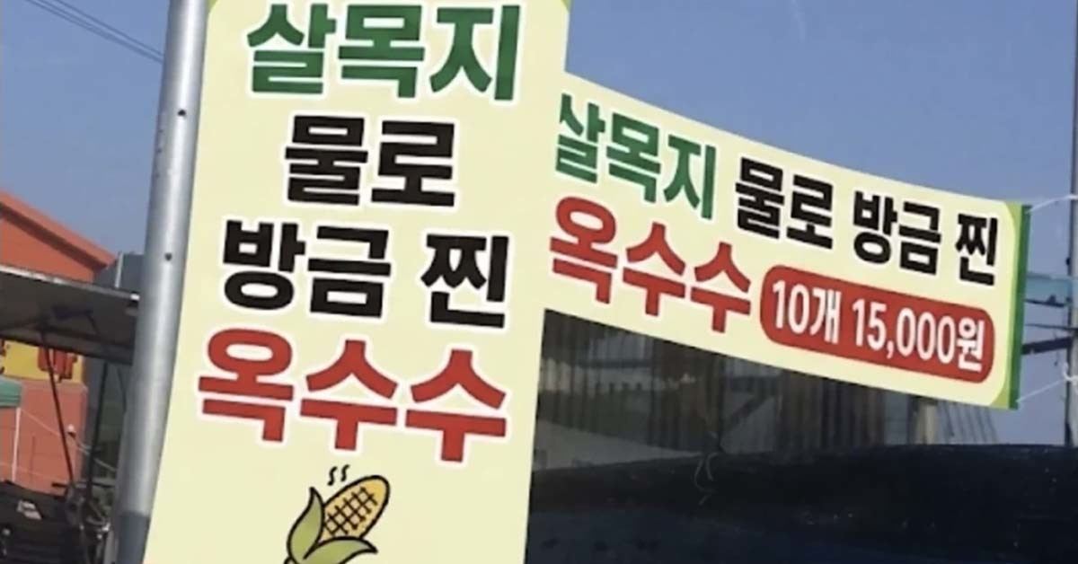 “살목지에 원래 살던 귀신도 이사 갈 판” 말까지 나오는 이유