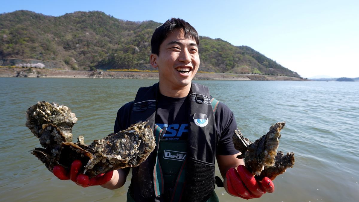 한국기행 지금 아니면 못 먹어요 1부…벚꽃 피는 시기에만 나온다는 '이것'은?
