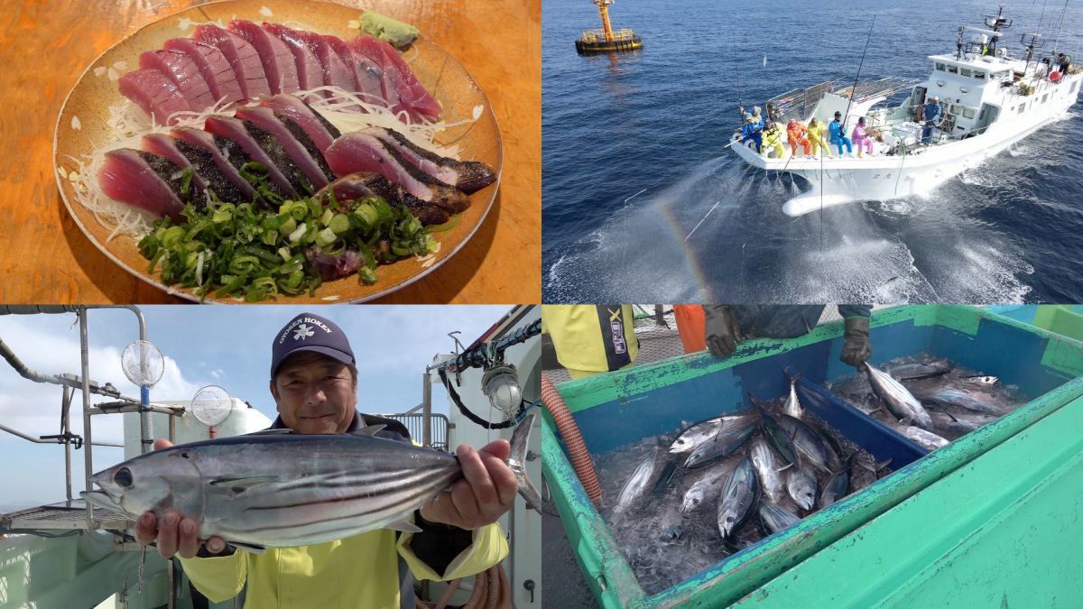 EBS1 ‘극한직업’…가다랑어에 인생을 건다!