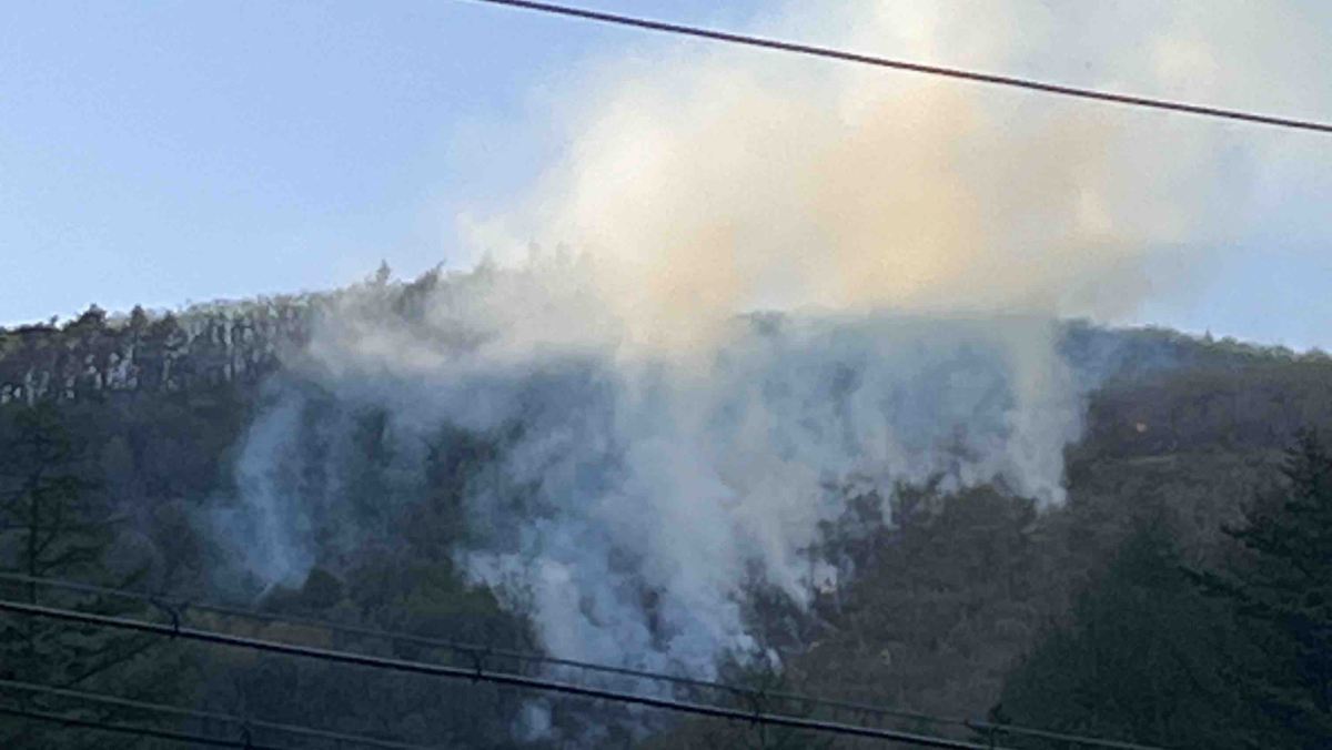 삼척서 산불 발생…헬기 6대 투입해 일몰 전 주불 잡혔다