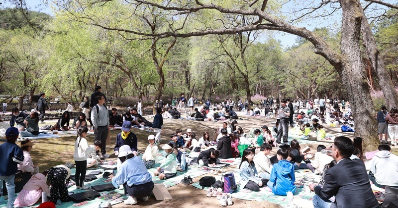 정부가 공식 인정한 '인구 감소 지역'...아무도 예상 못한 일 벌어져 관광객 몰려들고 있다 
