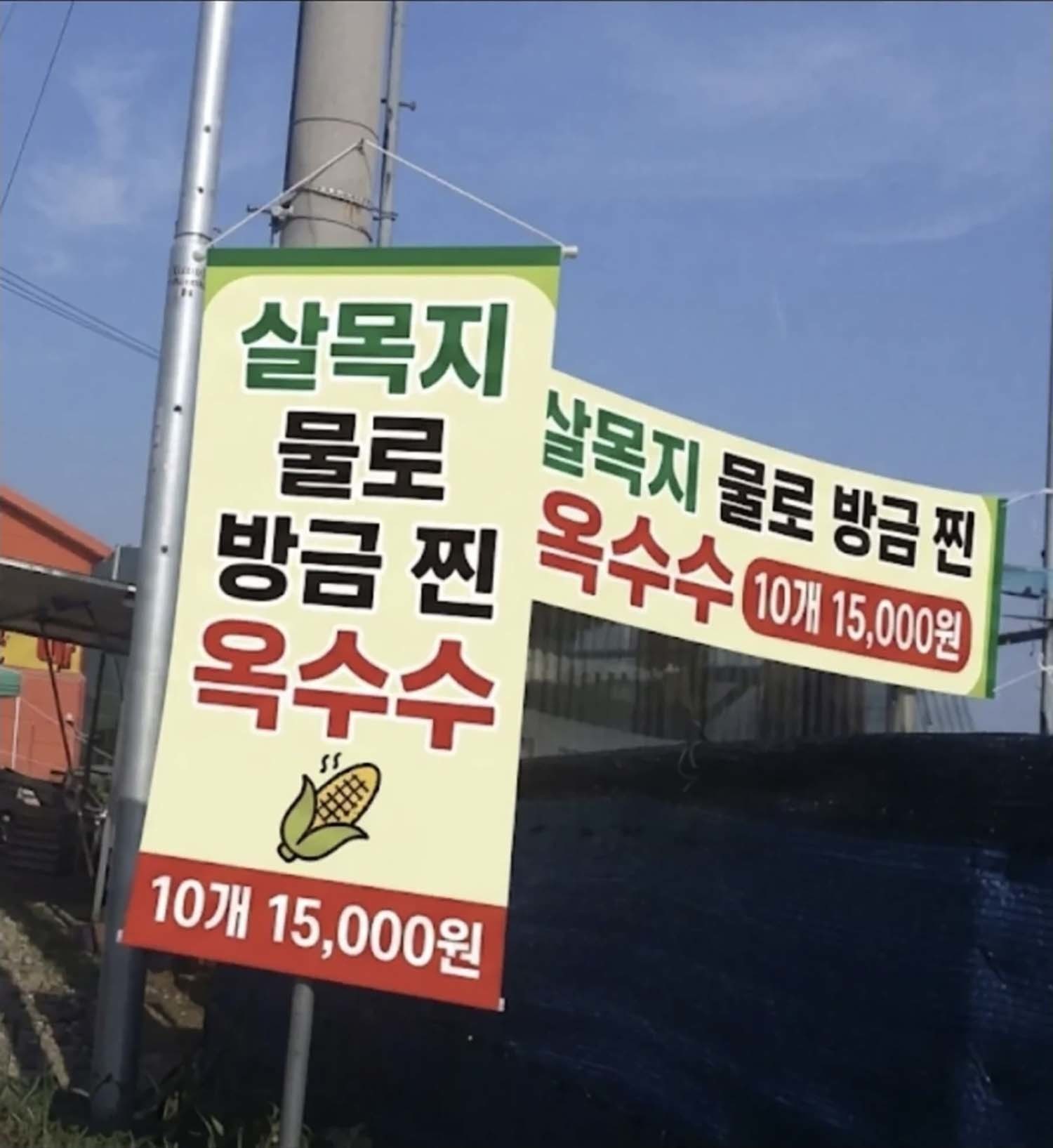 살목지 인근에 '살목지 물로 방금 찐 옥수수 10개 1만5000원'이라고 적힌 현수막이 내걸렸단 말이 나온다. 일각에선 AI로 만든 사진이란 말도 나온다. / SLR클럽