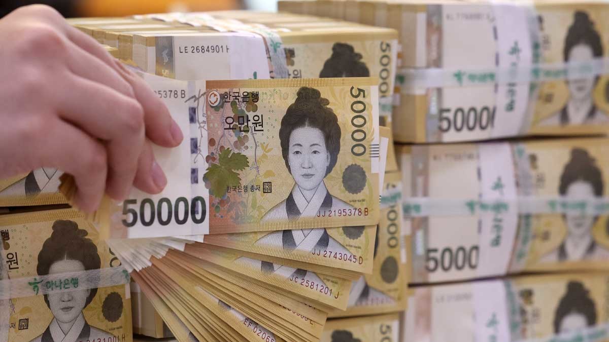 지폐. 서울 중구 하나은행 위변조센터에서 직원이 5만원권을 정리하고 있다. / 뉴스1