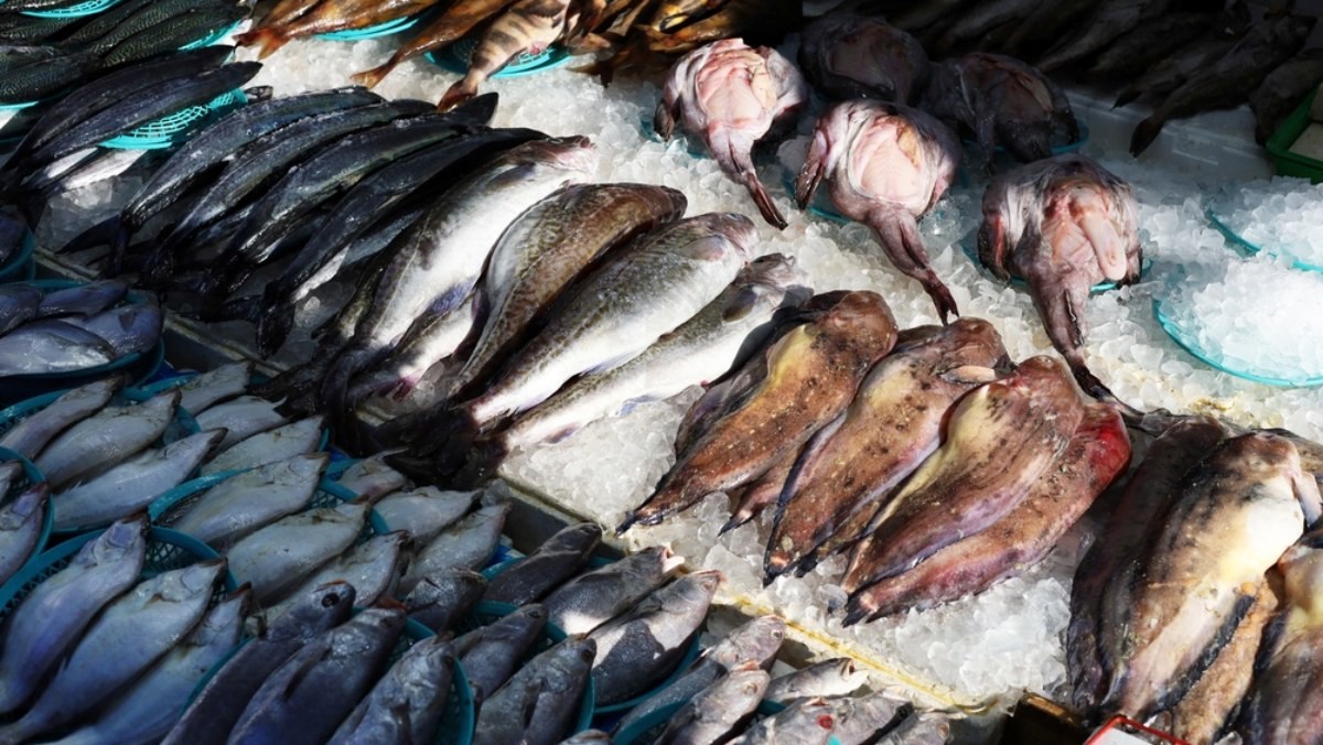 다양한 해산물들. / Bowonpat Sakaew-shutterstock.com