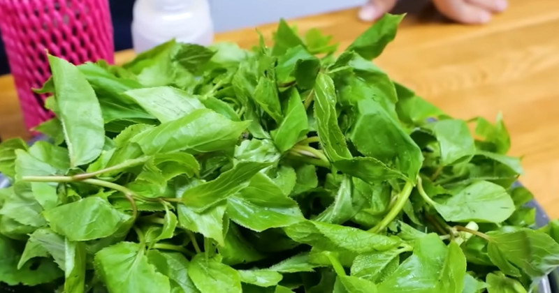 유튜브 '김대석 셰프TV'