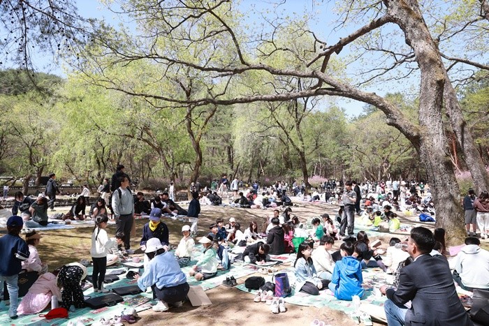 조선 6대 임금 단종을 다룬 영화 '왕과 사는 남자'의 흥행 효과로 특수를 누리고 있는 강원 영월군이 24~26일의 일정으로 영월 장릉과 동강 둔치, 청령포 일원에서 지역 대표 축제인 제59회 단종문화제를 준비한 가운데, 행사 첫날 장릉에서 부대행사인 백일장 프로그램이 진행되고 있다. / 뉴스1