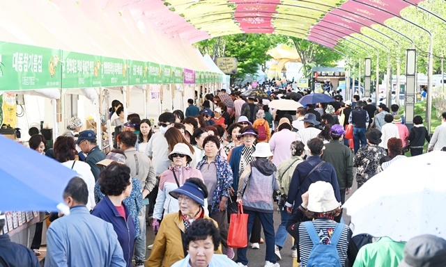 “주말 나들이객 북적” 함평나비대축제, 다채로운 공연과 행사로 상춘객 매료