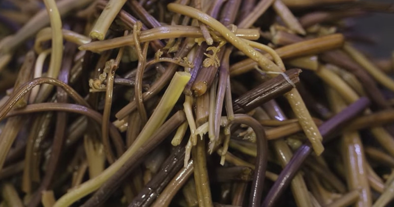 유튜브 '최주부 Choi JuBu'