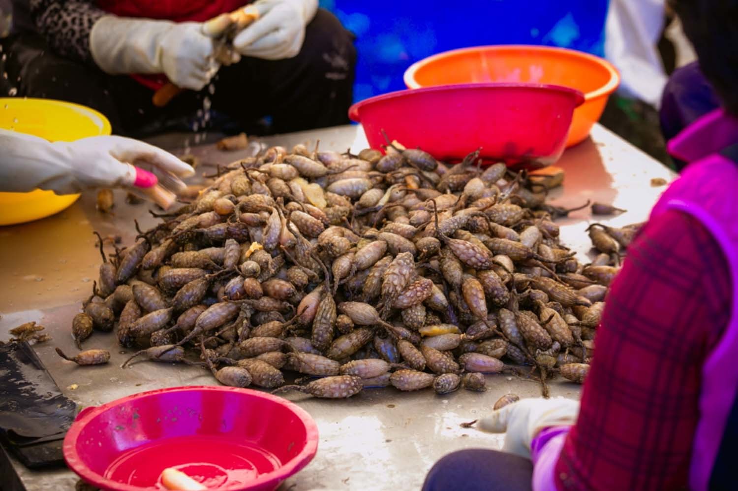 전세계서 오직 한국인만 먹는데... 요즘 안 팔려서 엄청 싸졌다는 해산물