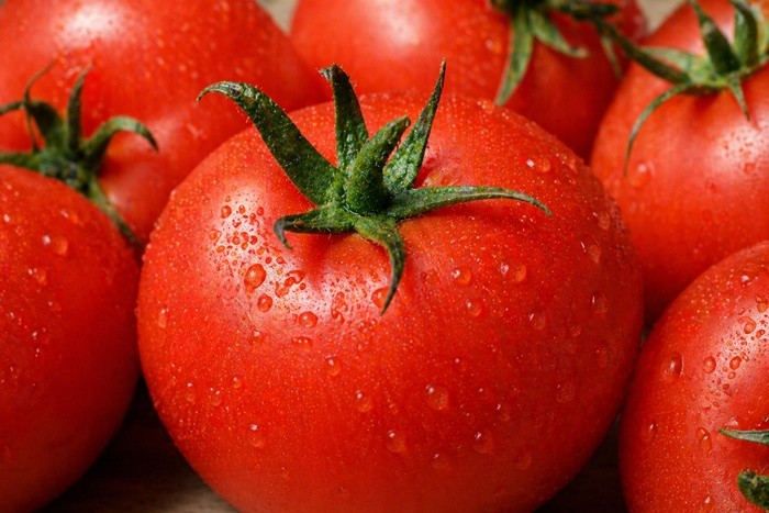 기사의 이해를 돕기 위한 AI 생성 이미지