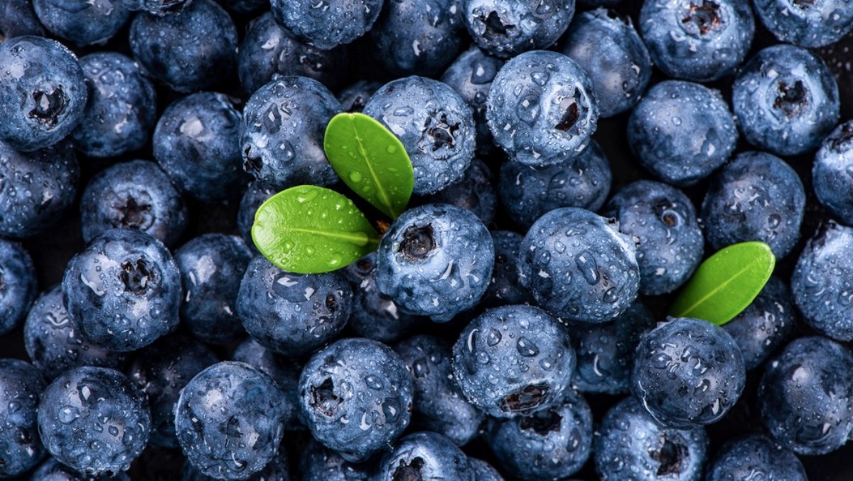  하루 3번 이것 먹었더니...뇌 세포 다시 살려낸다는 밥상 위 '천연 영양제'