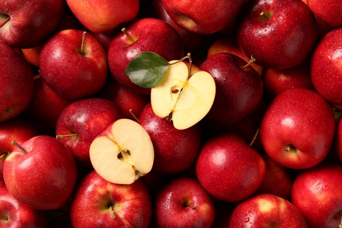 사과 자료사진 / New Africa-shutterstock.com